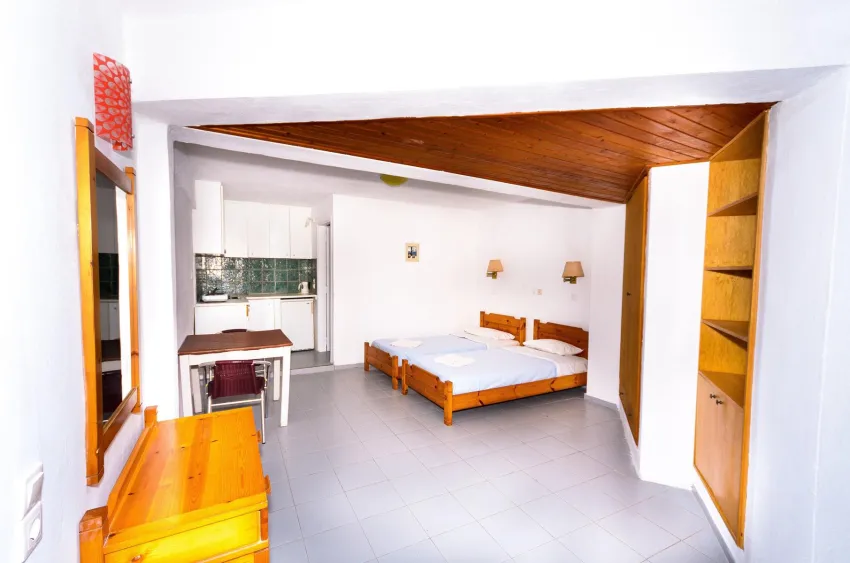 Classic Apartments 2*-22