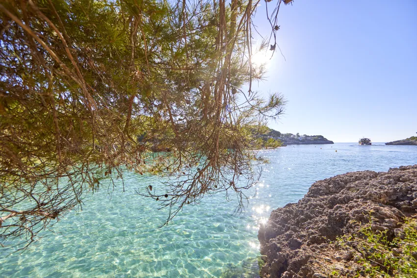 Ariel Chico Club & Resort Gavimar -85