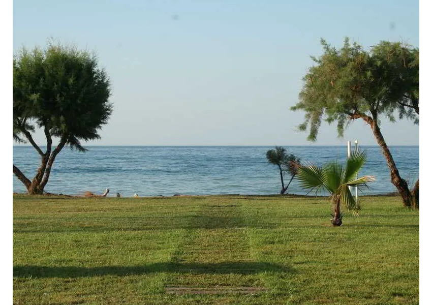 Ledra Maleme 3*-73