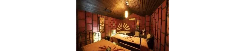 Siam Elegance Hotels & Spa 5*-9