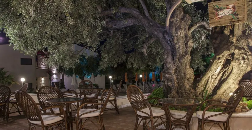 ALTHEA VILLAGE 4*-17