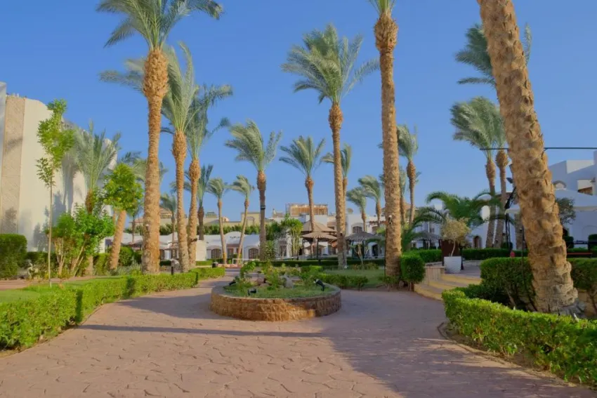 CORAL HILLS RESORT SHARM EL SHEIKH  4*-74