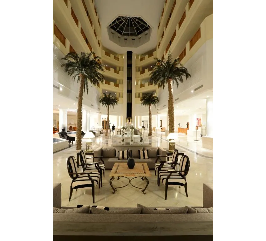 VINCCI SAPHIR PALACE & SPA  5*-36