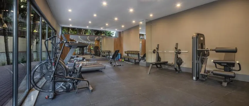 KAIA CORACESIUM  4*-39