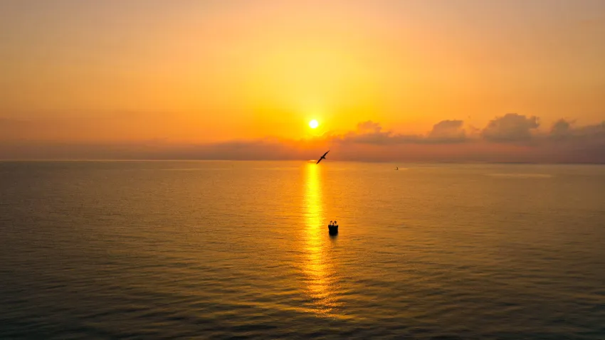 Crystal Aura Aqua Collection 5*-64