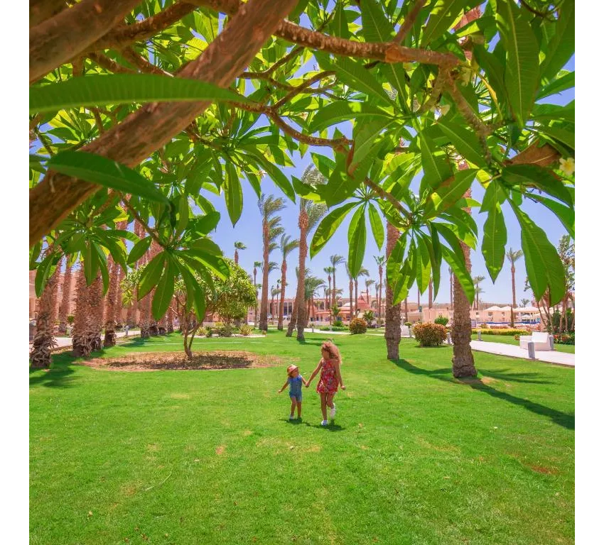 Pickalbatros Beach Albatros Resort 4*-4