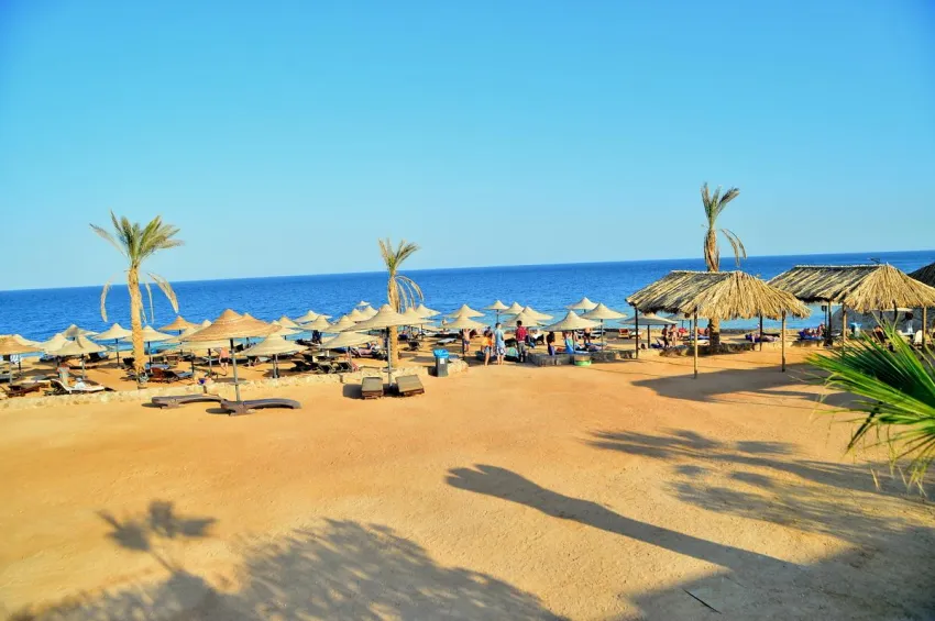 IL Mercato Splash Aqua Park 4*-8