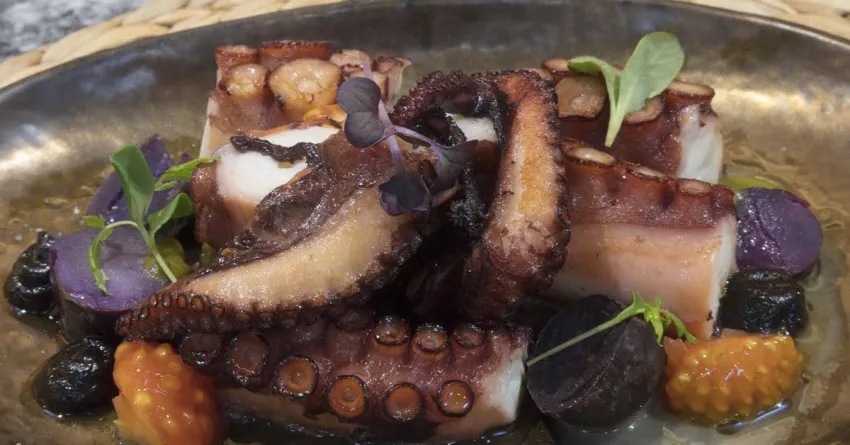 Melia Palma Marina 4*-415