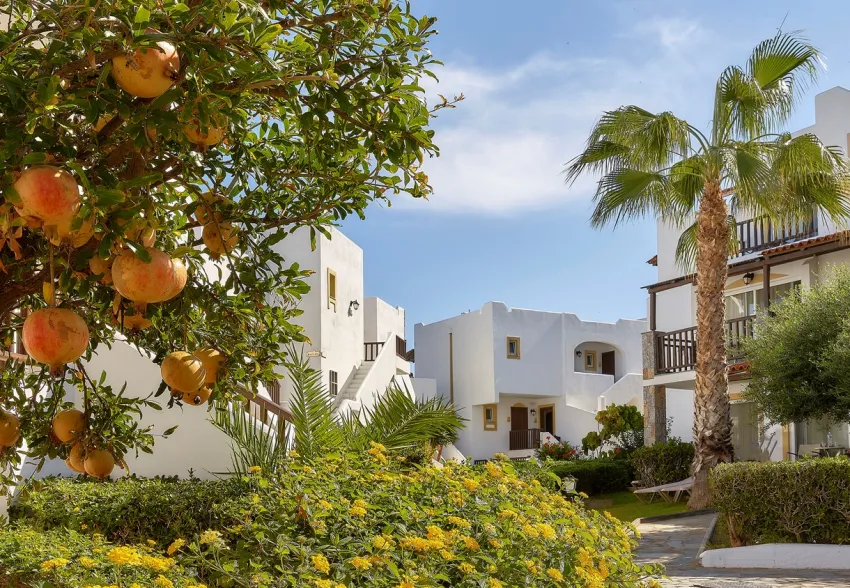 Alexander Beach Hotel And Village Resort 5*-3