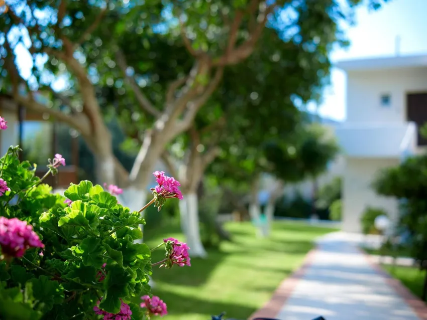 Katrin Hotel and Bungalows 4*-17