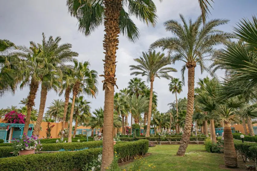 GIFTUN AZUR RESORT  3*-41