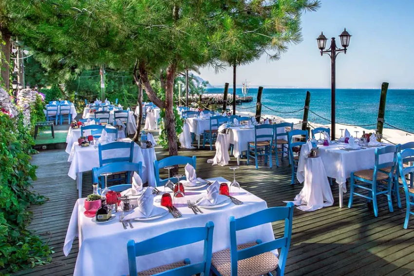 GYPSOPHILA CLUB MARINE   5*-12