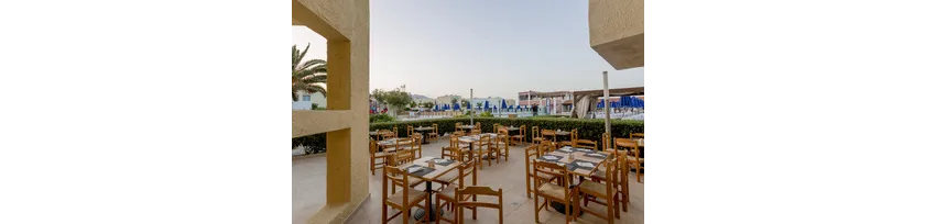 Dessole Dolphin Bay 4*-77