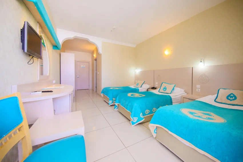 DAIMA BIZ RESORT HOTEL  5*-30